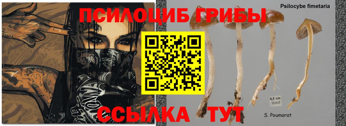 Галлюциногенные грибы MAGIC MUSHROOMS Лыткарино
