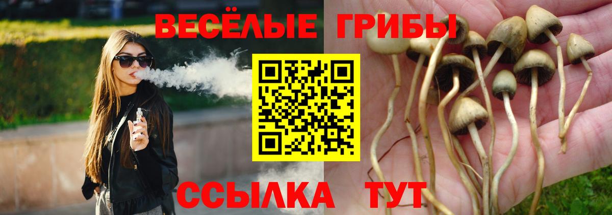 Лыткарино  наркошоп  Вход с VPN  Псилоцибиновые грибы прущие грибы 